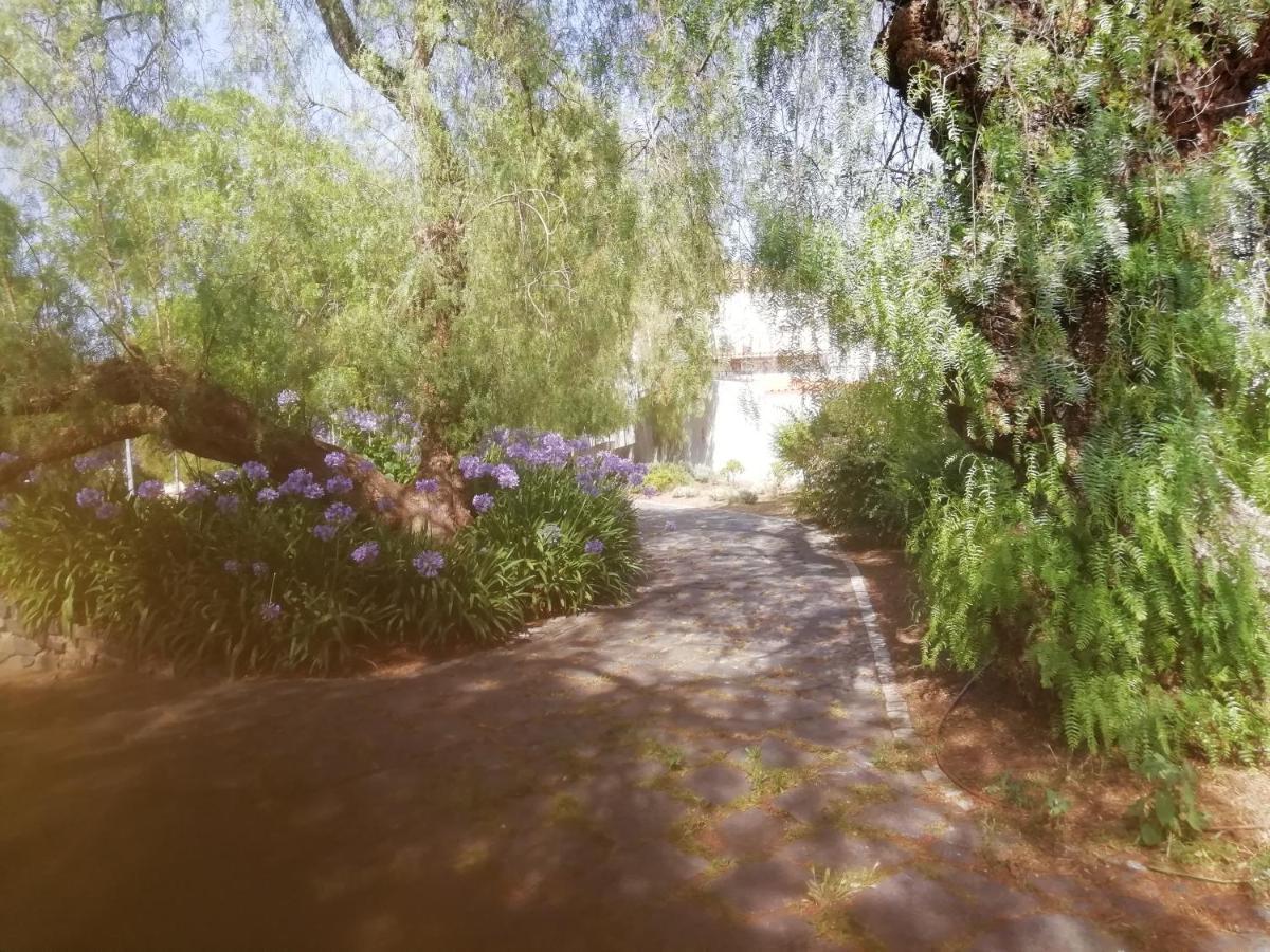 贝雅区Casa Do Jardim公寓 外观 照片